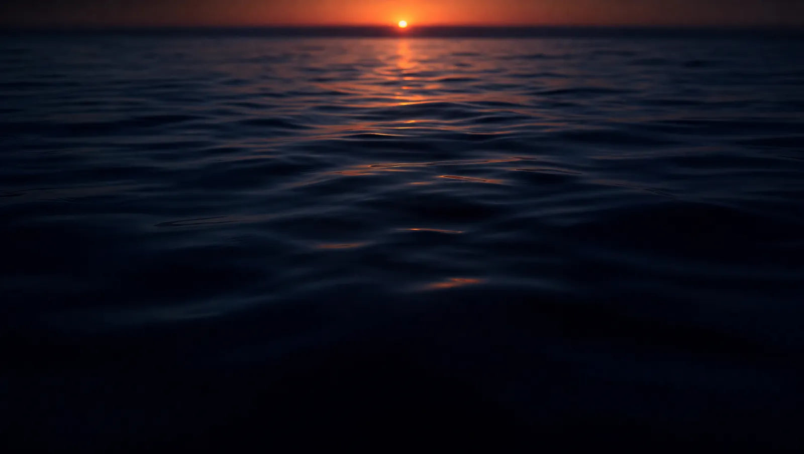 Calm dark water at sunrise
